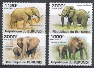2030-2033 Fauna