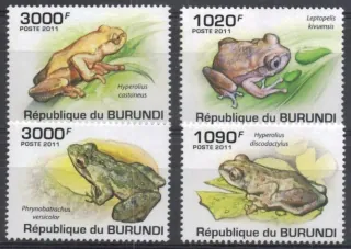2062-2065 Fauna