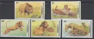 1703-1707 B Fauna