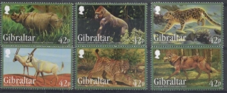 1508-1513 Fauna