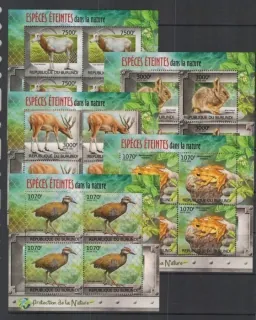 2585-2589 Fauna