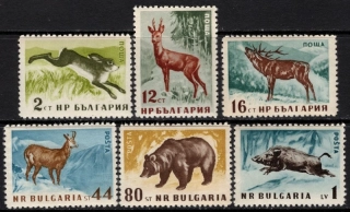 1058-1063 A Fauna