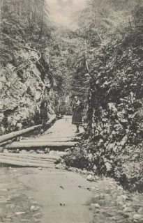 Stratená
