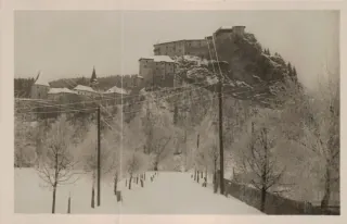 Orava