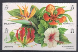 3117-3120 Flora