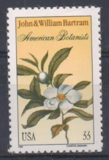3122 Flora