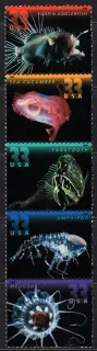 3379-3383 Fauna