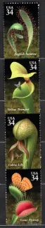 3482-3485 Flora