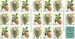 2808-2809 Flora