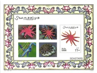 0900 BL 80 Fauna