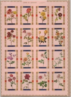 1466-81 B Flora