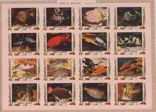 1306-21 B Fauna
