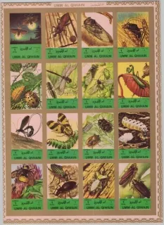 1338-53 B Fauna