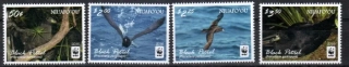 0607-10 Fauna