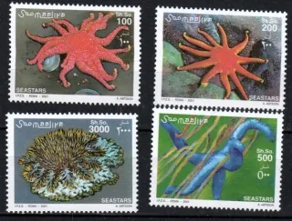 0896-99 Fauna
