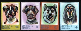 3131-34 Fauna