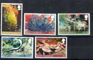 1497-1501 Fauna