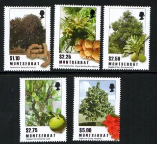 1481-85 Flora