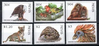 1211-16 Fauna