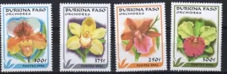 1423-26 Flora