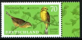 3463 Fauna