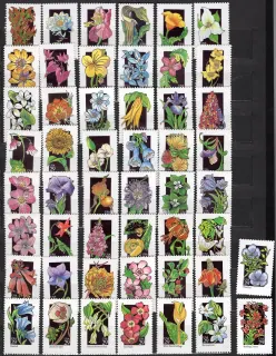 2252-2301 Flora