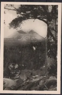Vysoké Tatry- Tatranská Polianka