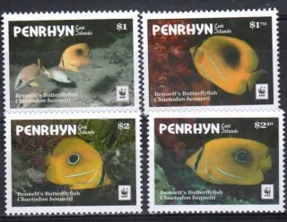 0825-28 Fauna