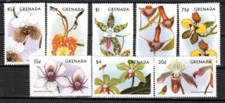 3562-69 Flora
