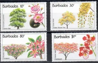 0799-802 Flora