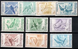 4642-51 Fauna