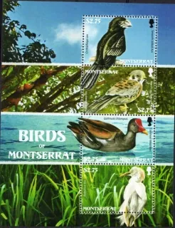 1461-64 KB Fauna