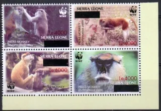 5071-5074 Fauna