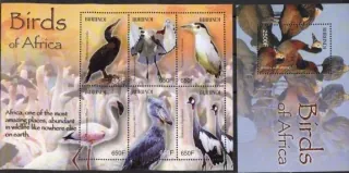 1892-97 BL 145 Fauna