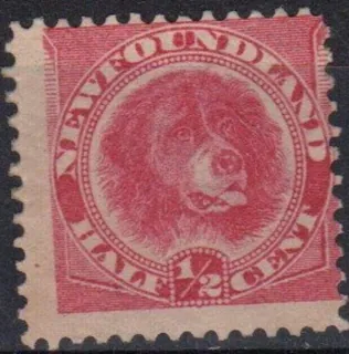 0035  Fasuna