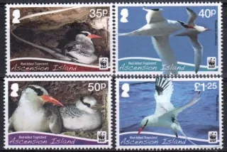 1151-1154 Fauna