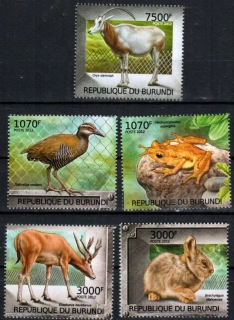 2585-2589 Fauna