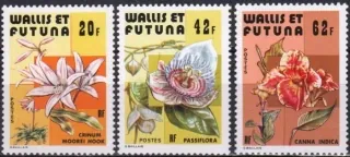 0349-351 Flora