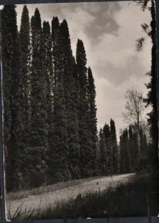 Mlyňany - botanická záhrada