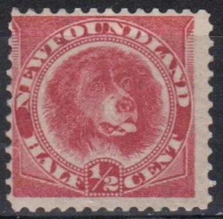 0035 ** Fasuna