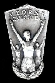 Vzorný Cvičitel