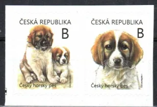 1133-1134 dvojpáska