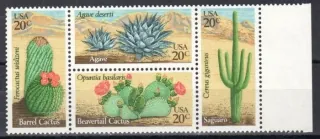 1517-1520  Flora