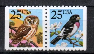 1980-1981 Fauna