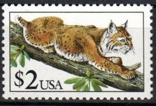 2092 Fauna