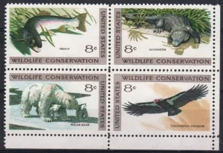 1037-1040  Fauna