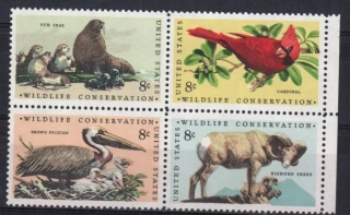 1079-1082  Fauna