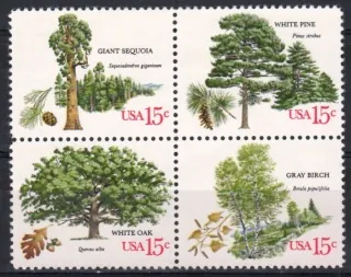 1364-1367  Flora