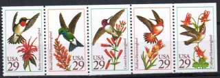 2246-2250  Fauna