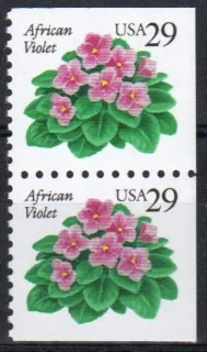 2404